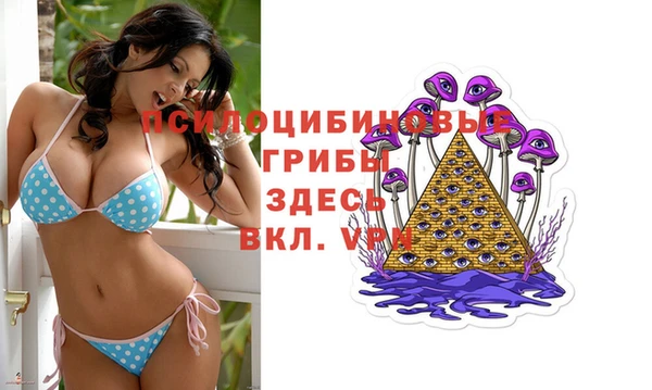 твердый Армянск