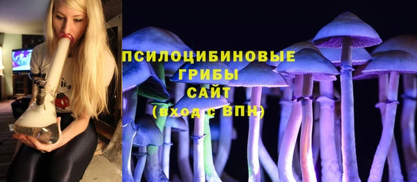 не бодяженный Богородицк